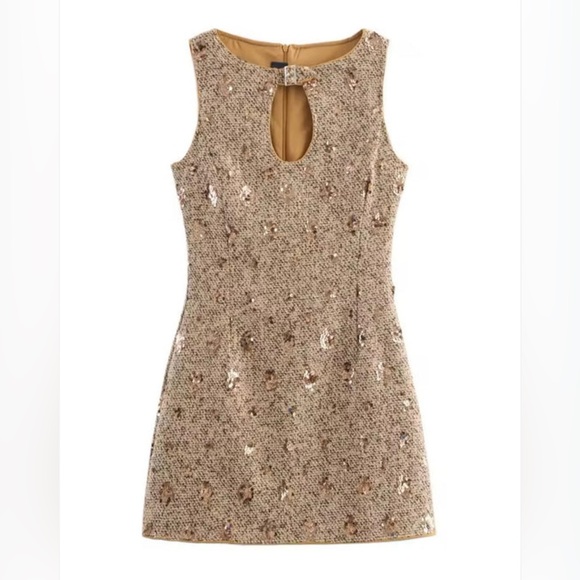 Brown Party Women's Mixed Tweed Fabric With Sequins Design mini Dress. - Picture 12 of 13